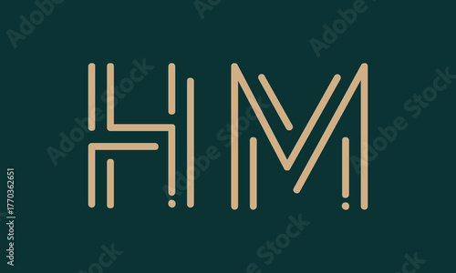 HM H hm initial logo | initial based abstract modern minimal creative logo, vector template image. luxury logotype logo, real estate homie logo. typography logo. initials logo