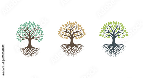 Three stunning trees with vibrant leaves and intricate root systems symbolizing growth, nature, and connection to the earth below