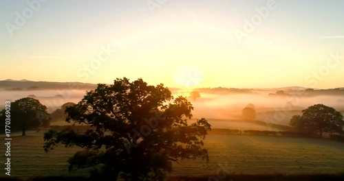 Golden sunrise over misty rolling hills with silhouetted trees in the foreground.