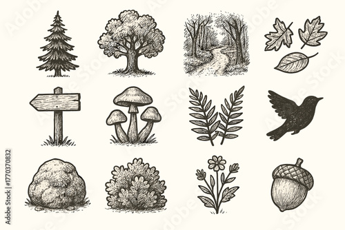 Bird signpost forest collection vector bush fallen rock tree leaf icon