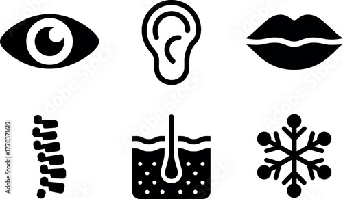 Set of six black and white icons human senses body parts health and medical symbols vector