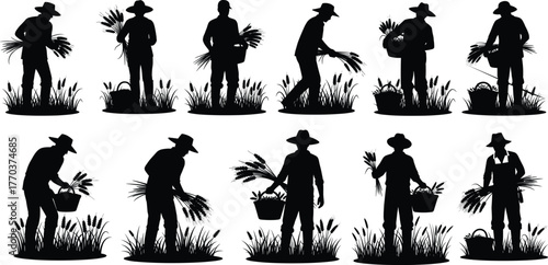 Farmers harvesting crops silhouettes, rural agriculture workers, traditional farming labor, countryside village life, crop field illustration, flat vector artwork