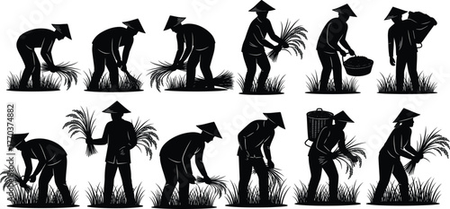 Flat vector rice farming silhouettes, traditional agriculture illustration, farmers working in fields, rural labor artwork, harvest concept, Asian culture design