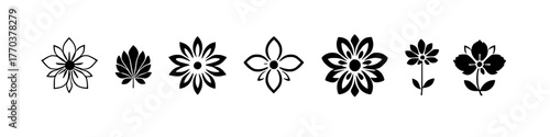 a diverse collection of black and white floral and leaf vector illustrations on a transparent background