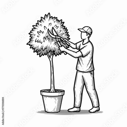 Gardener trimming a topiary tree in a pot. Hand-drawn line art vector illustration. Landscaping and plant care concept