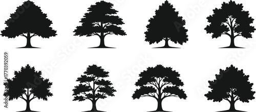 PrintTree silhouette collection, black vector forest design, natural landscape illustration, isolated trees artwork, environmental nature graphic, woodland and ecology elements set