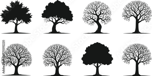 PrintTree silhouette collection, mixed foliage and leafless trees, black and white botanical vector illustration, natural forest landscape design elements for art
