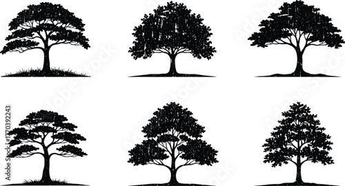PrintTree silhouette collection, natural forest tree vector illustration, black botanical artwork for landscape design, nature shape, environment, and eco decoration