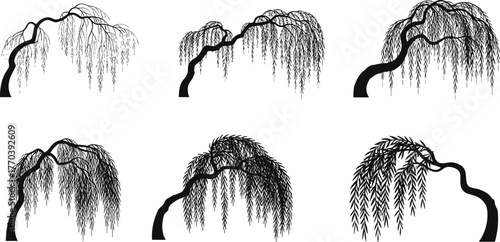 PrintWillow tree silhouette collection, elegant nature vector art, weeping willow tree illustration, botanical design, landscape element, black tree graphic, garden decoration