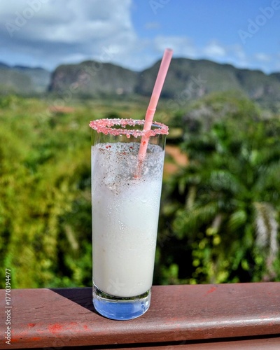 Cold tropical drink with mountain view