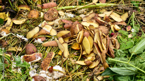 Organic food waste on heap close up. Compost pile with layers of food scarps and organic materials. Compost pit for organic scarps.Skinned potatoes.