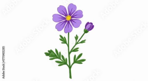 violet flower isolated on white