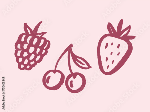 berries cherry strawberry raspberry hand-drawn sketch vector illustration