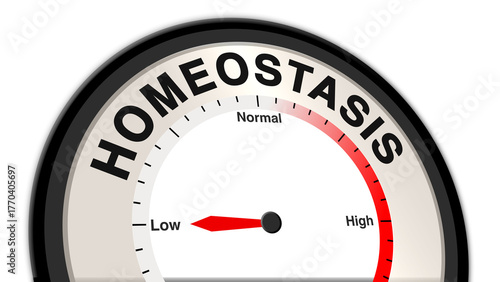 Photos Homeostasis at low imbalance shown on a barometer or tachometer, reflecting mild