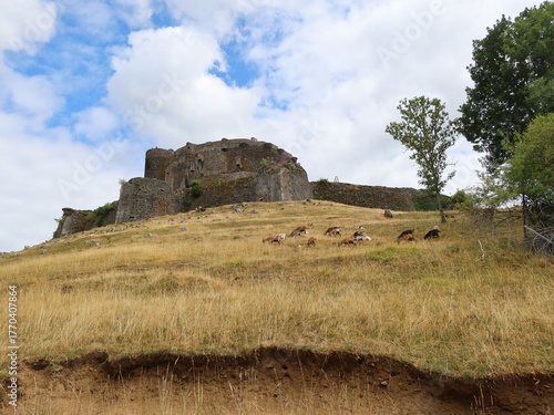 Château de Murol - Auvergne
