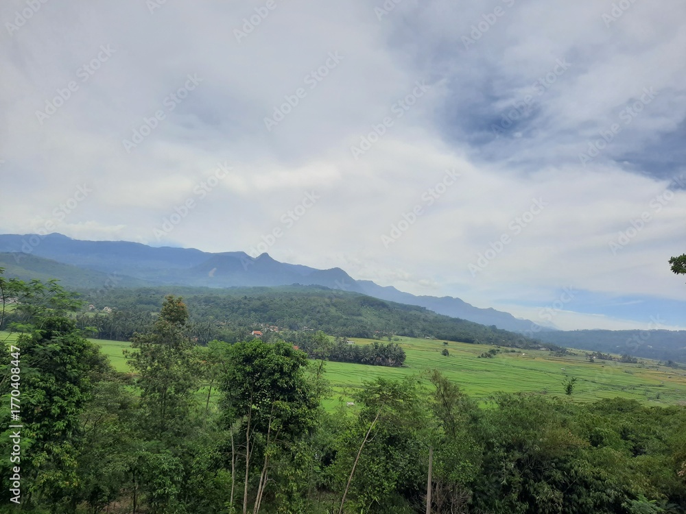 Naklejka premium Mountain scenery with green paddy field photo