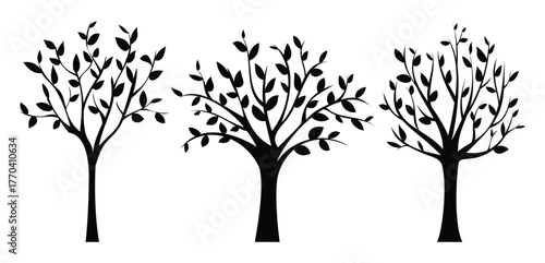 Silhouette set of various stylized trees with slender trunks and delicate branches and leaves. Vector cartoon illustration
