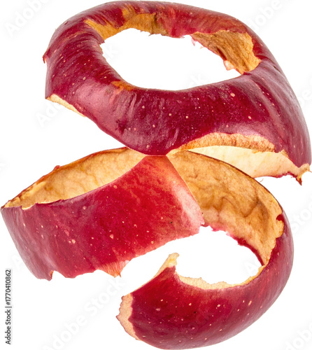Spiral red apple peel isolated on white background, close up, healthy organic fruit skin texture, fresh food ingredient macro