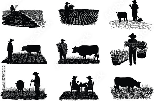 Silhouettes of rural farmers and cows in agricultural field performing traditional farming tasks, harvesting crops, and living village lifestyle scenes