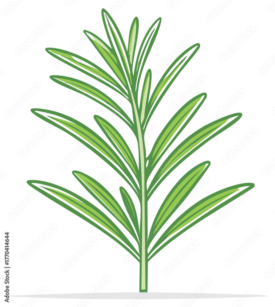 Fototapeta premium Fresh Green Rosemary Sprig Illustration for Culinary Herbs and Natural Flavoring