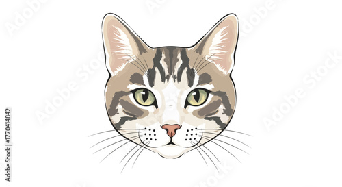 Cat face illustration with detailed fur pattern and green eyes isolated on white background