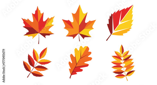 A vibrant collection of colorful autumn leaves in polygonal design