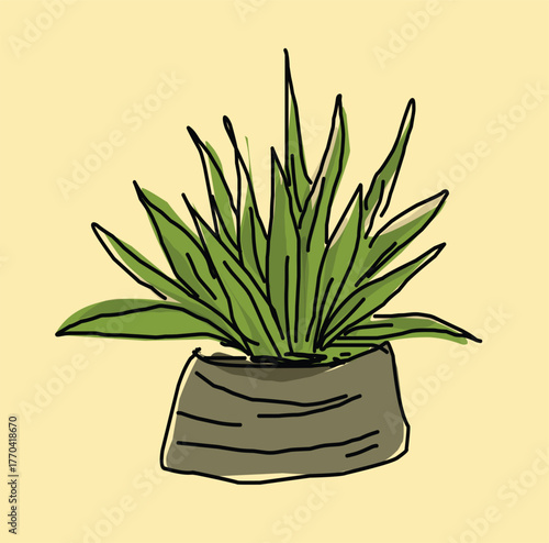 vector of plant on the pot cartoon illustration.eps