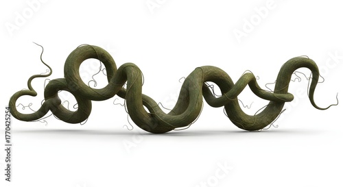 Twisted vine with tendrils on a white background.
