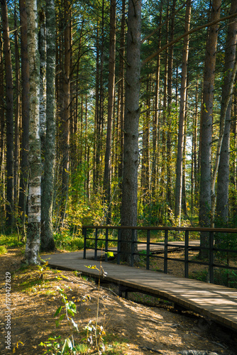Sestroretskoye Bog State Nature Reserve of Regional Significance