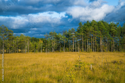 Sestroretskoye Bog State Nature Reserve of Regional Significance