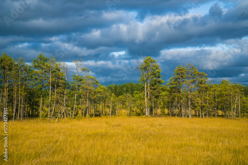 Sestroretskoye Bog State Nature Reserve of Regional Significance