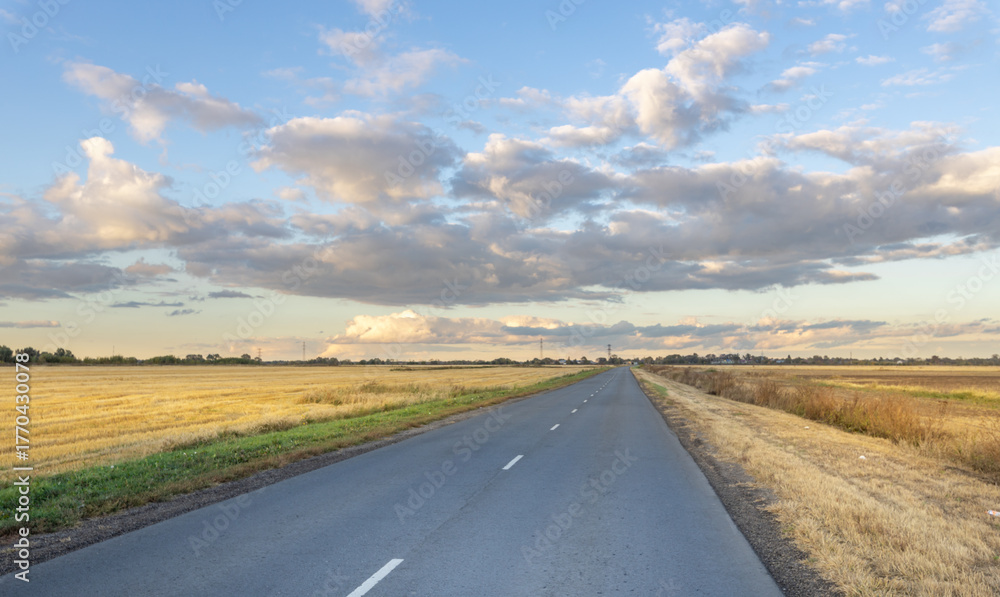 Naklejka premium Long road with a few trees in the background