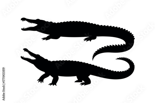 Silhouettes of two crocodiles stand against a white background.