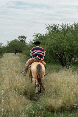 Gaucho riding a horse through tall grass in the Argentine countryside, wearing traditional poncho and hat. Concept of culture, tradition, and rural lifestyle