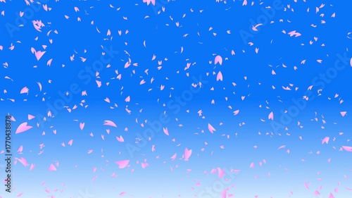 Bunch of pink cherry petals falling down from top to bottom on blue gradient background while the camera moving backward. Abstract background with a scene of Spring time in Japan.