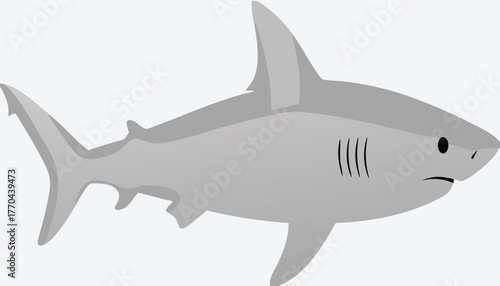 a shark with a white background