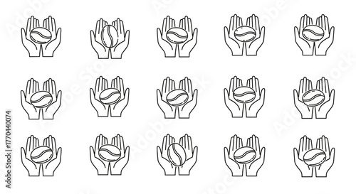 Minimalistic line icon of a coffee bean held gently in open hands, symbolizing care, growth, and the origin of coffee. This clean vector illustration is perfect for web design, graphic design, apps