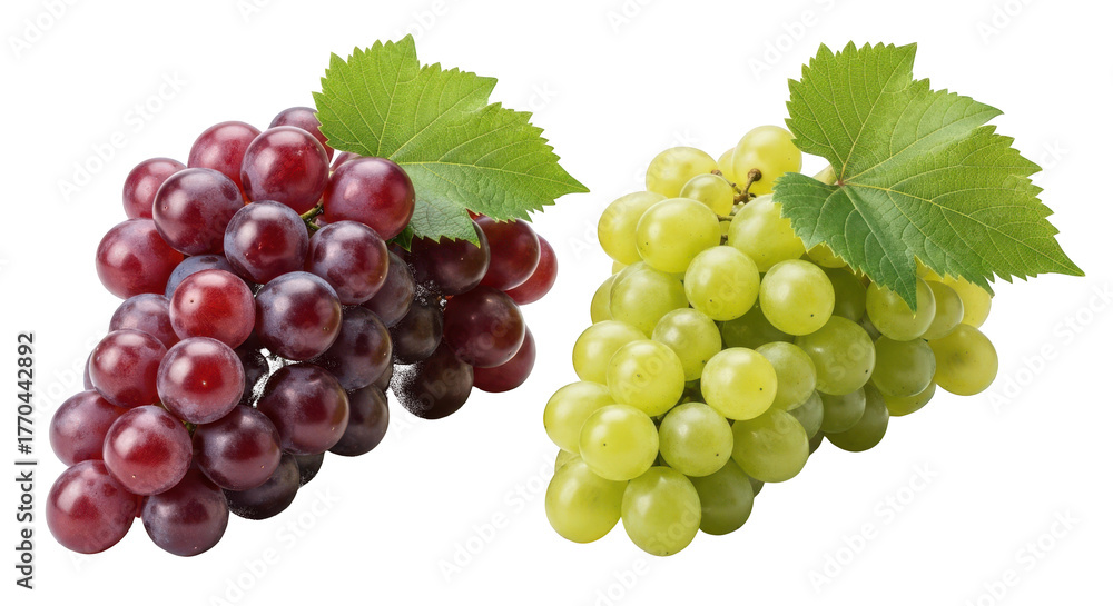 Fototapeta premium Red and Green Grapes with Leaves isolated on a transparent background red grapes fruit