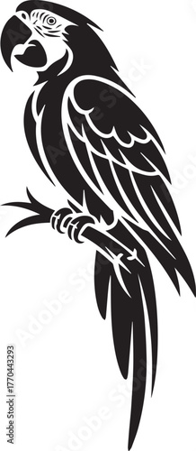 Parrot bird silhouette illustration on white background, bird, animal, wings, flying, animals, silhouette, black, fly.