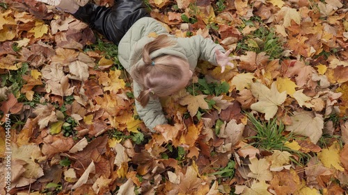 In the rays of the gentle autumn sun, which gilded the tops of the trees, a cute girl, like a bright butterfly, fluttered through the park. Her blond hair fluttered funny in the wind, and her eyes sho