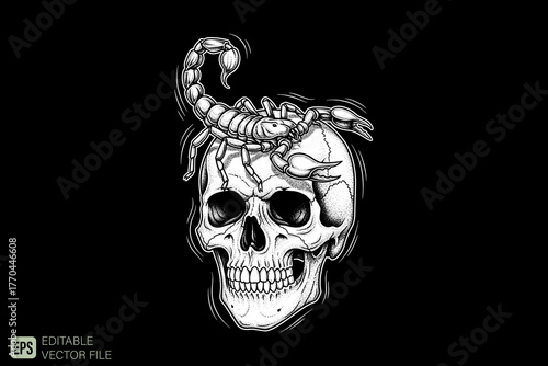 Scorpion on a Human Skull Vector Illustration.