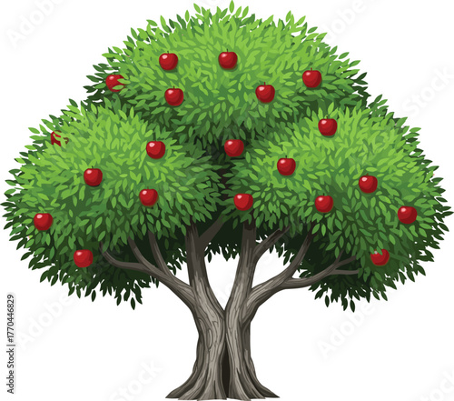 Apple tree vector illustration, lush green leaves and red fruits, nature agriculture design, educational fruit drawing, bold colorful style, cad drawing flat vector illustration