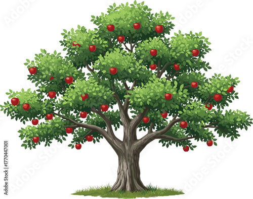 Apple tree vector illustration, lush green leaves and red fruits, nature agriculture design, educational fruit drawing, bold colorful style, cad drawing flat vector illustration