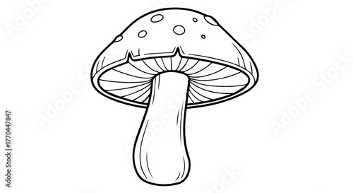 Stylized Mushroom Line Drawing with Spotted Cap and Radiating Gills