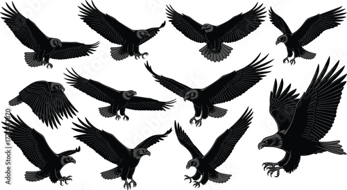 Eagle silhouette vector illustration, flying and landing poses, majestic bird of prey artwork, black and white wildlife design, cad drawing flat vector illustration