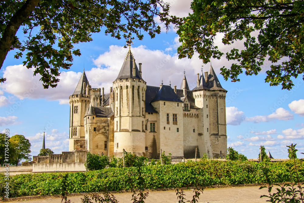 Obraz premium château de Saumur