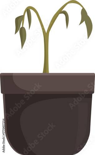 Small plant withering in a pot, depicting neglect, lack of attention, and the consequences of inadequate care