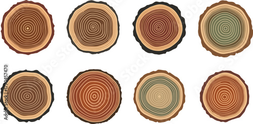 Assorted Tree Rings Set Wood Slices with Growth Rings on White Background