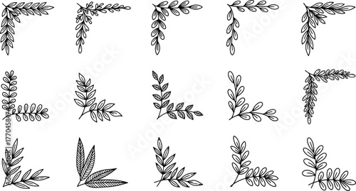 Botanical Corner Border Elements with Variety of Leaf Designs on Transparent Background