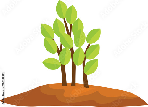 Young trees growing on a hill are representing reforestation and environmental conservation